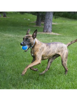 Kong Dog Ultra Squeakair Ball Medium