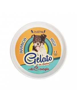 Unipro Dog Gelato Arancia e Kiwi 60g