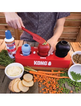 Kong Dog Freeze Tray