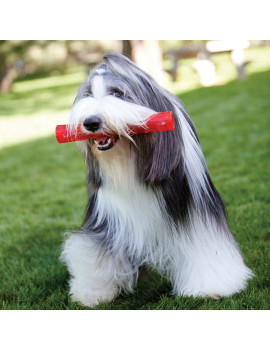 Kong Dog Squeezz Ball Medium