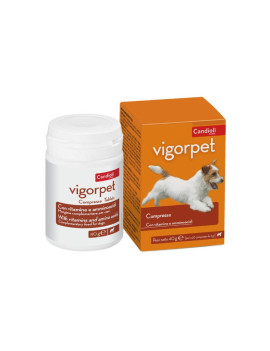 Candioli Vigorpet Cani 20 Compresse
