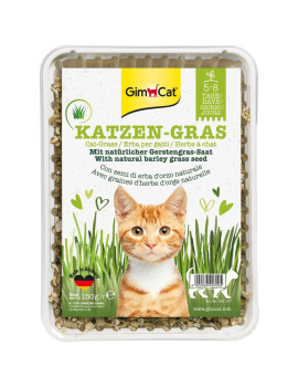 Gimcat Erba Semplice 150g