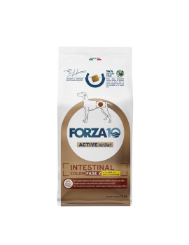 Forza10 Dog Intestinal Colon Fase 2 Agnello e...