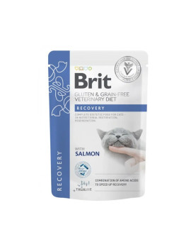 Brit Care Cat Grain Free Recovery Salmon 85g