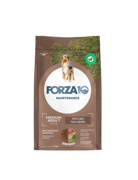 Forza 10 Dog Medium Adult Agnello 12Kg