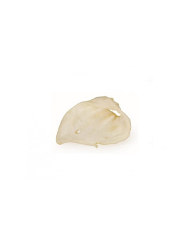 Camon Dog Snack Orecchie di Suino 45g