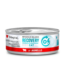 Disugual Cat Metabolic Balance Recovery Agnello...