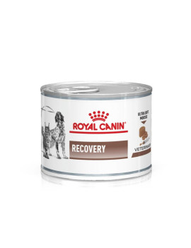 Royal Canin Cane e Gatto Vdiet Recovery 195g