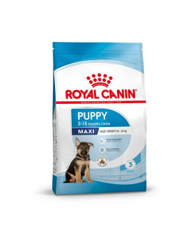 Royal Canin Cane Maxi Junior 10Kg