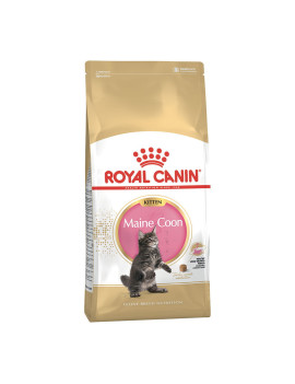 Royal Canin Cat Breed Kitten Maine Coon 2Kg