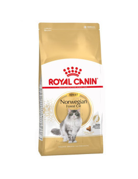 Royal Canin Cat Breed Norvegese 2Kg