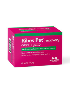 Nbf Ribes Pet Recovery Cane e Gatto 60 Perle