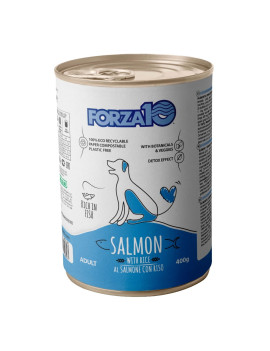 Forza 10 Dog Maintenance Salmone e Riso 400g